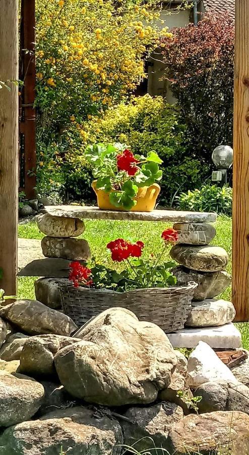 Villa Casa Din Coltul Cetatii Hărman Esterno foto